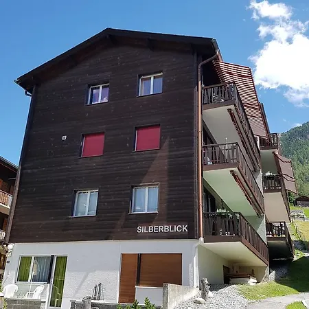 Silberblick - Aussergewoehnlich & Familienfreundlich Appartement *